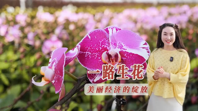 北京号最精彩 | “停车+充电”一站式服务！解锁望京南立体超充站