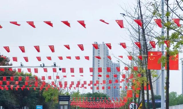 红旗飘扬，盛装迎宾