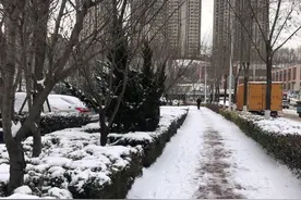 50年来首次出现大范围冻雨、冰粒和纯雪！青岛的雪刷新多项纪录图片