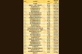 2025中国民营企业500强出炉，这些湘企上榜图片
