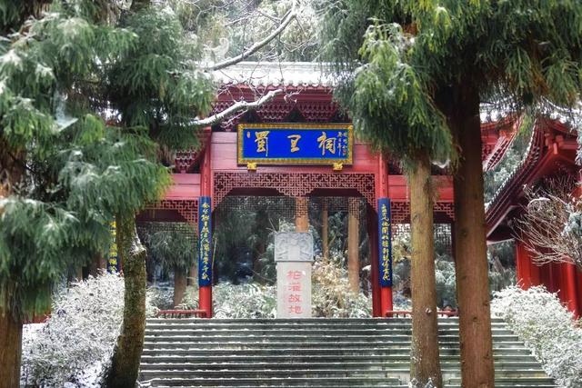 不搞虚的！宠粉天花板还得是龙门山！（文末有福利）