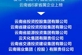 云财经视点丨跻身全国500强云南企业营收排名一览图片