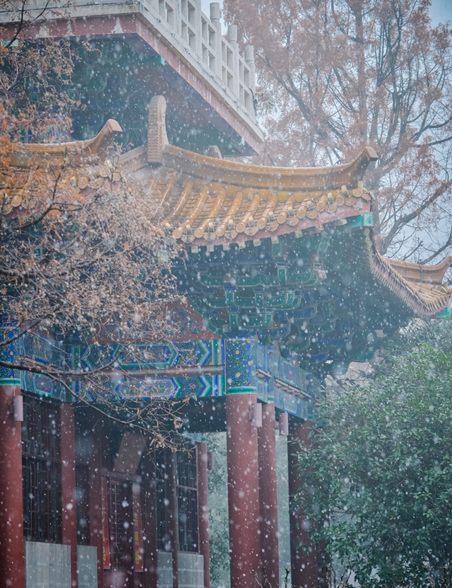 天呐，洛阳的这份「反差感」，绝了！