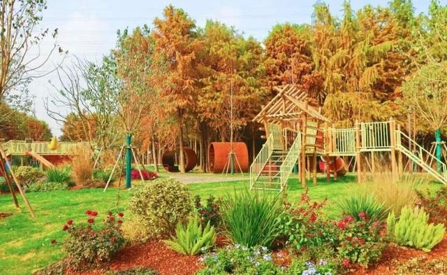 开园即出圈！新建横沔公园开放半个月，单日游客量最高近1万，魅力到底在哪儿