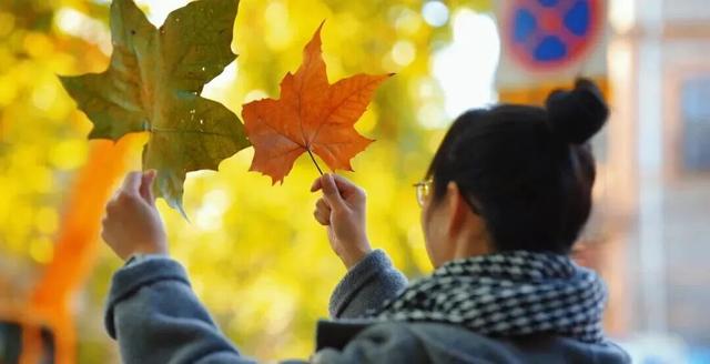 镇 江 开 启 浪 漫 模 式
