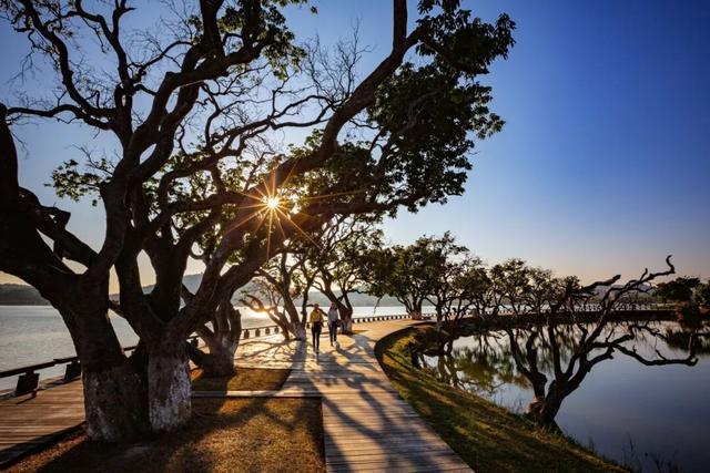 增城荔湖上演“天空之镜”，日出红霞美成仙境！
