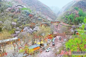 麻辣烫的“风”吹起武山文旅“千层浪”图片