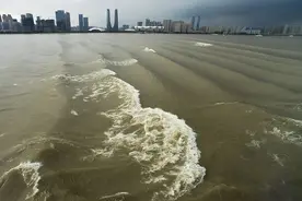 明日杭州入汛！水上巴士部分线路已停运图片