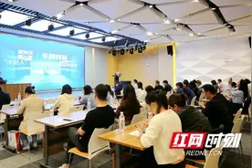 望城区开展第六批专精特新“小巨人”企业培育暨申报指导培训活动图片