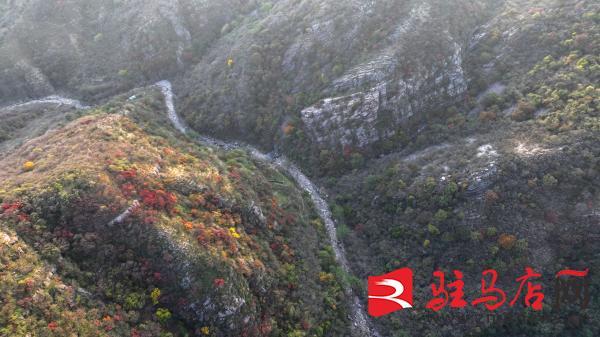 层林尽染！口门水库山间红叶进入最佳观赏期