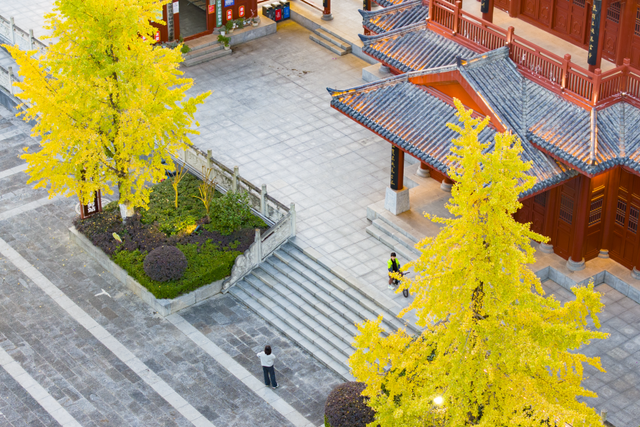 金灿灿！宜都限定美景上线！