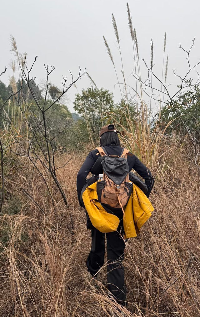 火了！全国徒步圈开启“画马”模式，成都龙泉山单日上百人组队“画马”