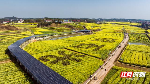 双峰有多高 | 我们奔县吧·双峰县篇