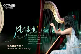 2024总台秋晚丨已单曲循环！陈楚生万茜的《风吹麦浪》朦胧又浪漫图片