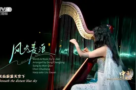 2024总台秋晚丨已单曲循环！陈楚生万茜的《风吹麦浪》朦胧又浪漫图片