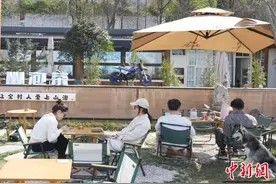秦岭脚下繁花竞放 催热西安“春日经济”图片