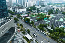 “挤出”更多停车位，假日开通公交专线，以后去动物园将更方便图片
