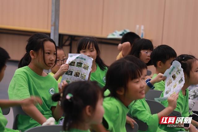 免费科普盛宴点燃暑期 省植物园邀你探秘奇趣自然