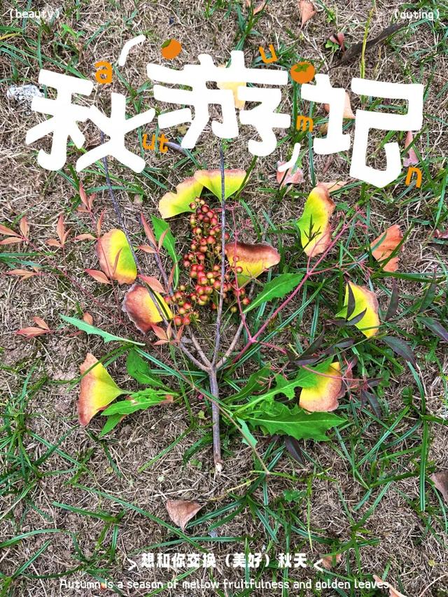 别宅啦！去江陵的街头“捡秋”吧