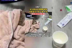太帅了！女生路边捡到瘫痪猫咪，中医学生为其正骨、针灸，1秒接回错位骨头图片