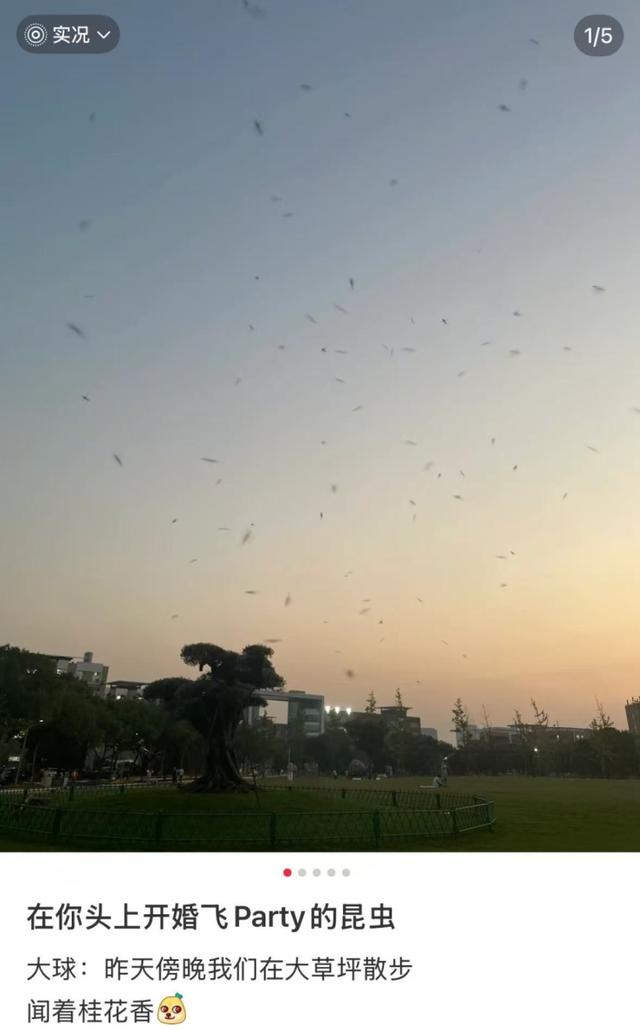 头皮发麻！这种水你还敢喝？几百枚卵可能已经下肚……