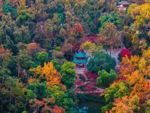 郑州出发！3小时内高铁直达的冬日打卡地→