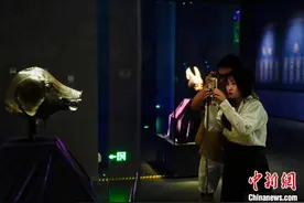 圆明园国宝兽首“现身”广西规模最大回流文物展图片