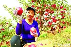 富硒苹果邂逅“最美国道”G331图片