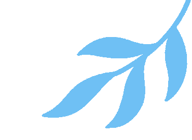 共赴一场滨海文化之约｜2025年“蚝美钦州 书香河海”文化市集即将启幕