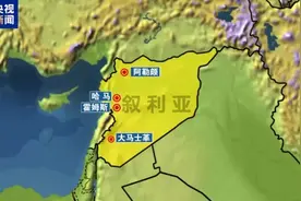 大马士革仅剩最后一道重要防线！叙利亚最新局势→图片