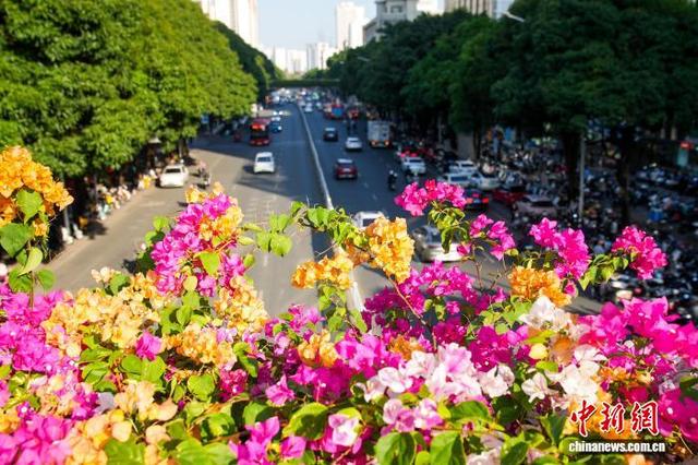 广西南宁：“彩虹”飞架闹市间