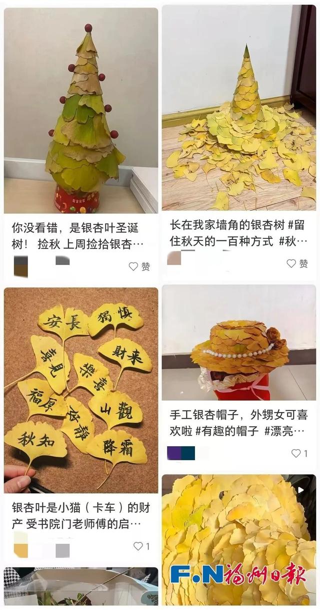 惊艳上线！福州这里变身“黄金村”！还有人靠它悄悄赚钱……