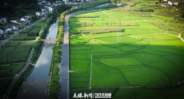 湄潭仙谷山：避暑天堂里的诗意与“钱”景