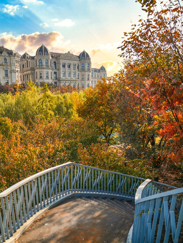 上海市区免费公园的枫叶大道红了！还有通往 “欧洲城堡” 的绝美旋梯→