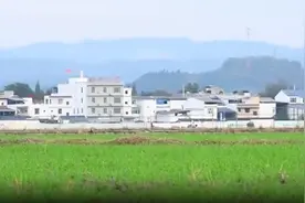 央媒看四川｜我是一个“资格”的农二代图片
