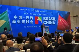 美团、蜜雪冰城、长城汽车……中企将在巴西投资270亿雷亚尔，高新科技成中巴合作重点图片