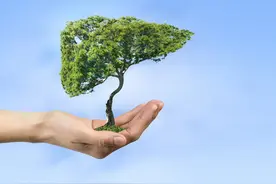 健康小站 | 19岁男孩流感后自行服药，竟引发肝功能损伤图片