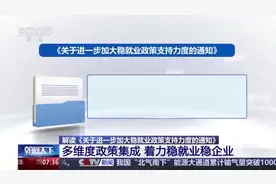 19条稳就业硬核举措出炉，专家解读图片