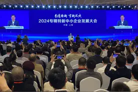 中国专精特新小巨人企业1.46万家，这些产业领域发展潜力大图片