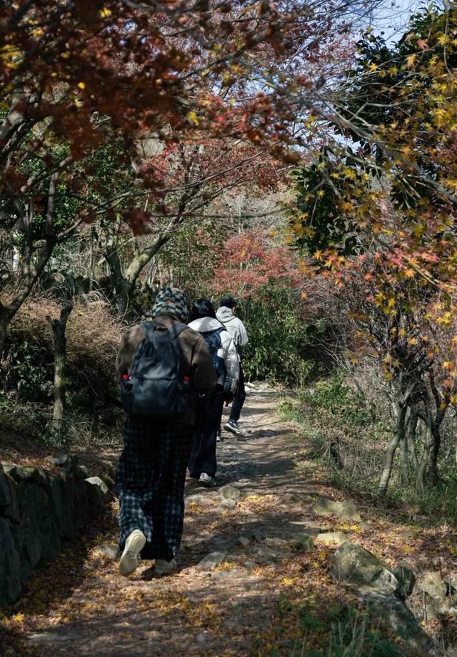 Hi走奉化③ | 拿下最高峰！蜘蛛岭古道虽累，但这秋色值了！