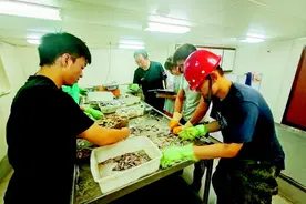 休渔期后近海鱼类增长6到7倍 特许捕捞、限额捕捞或成为未来趋势图片