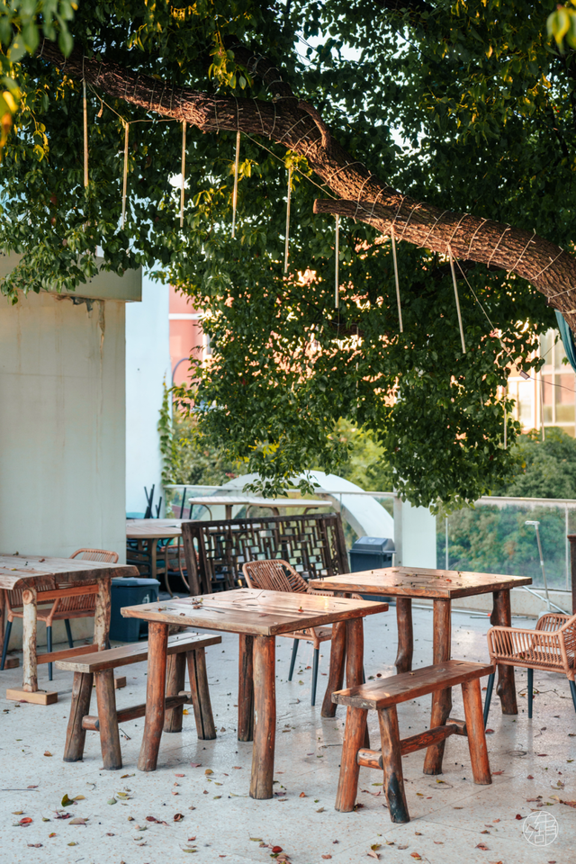 降温了，躲进东湖暖咖，独享封神秋景！