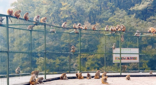 抓住秋天的尾巴，去“北方小桂林”选出你最爱的颜色~