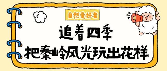 畅游年卡上新！解锁2026全年精彩，省钱又省心