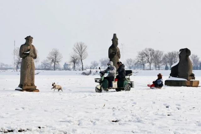 一眼千年！雪落巩义宋陵，限定美景上线→