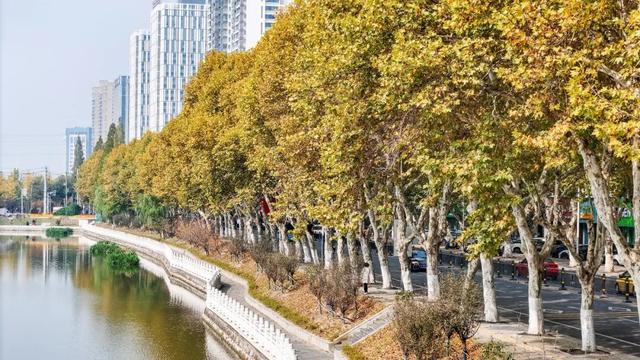 落叶缓扫，留住荆州别样秋色