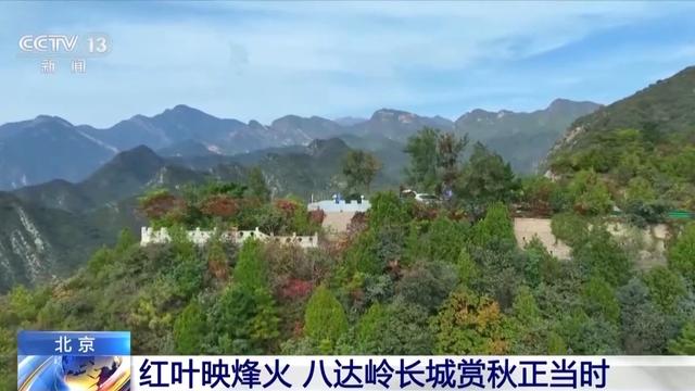 赏秋正当时 八达岭红叶最佳观赏期至本月底