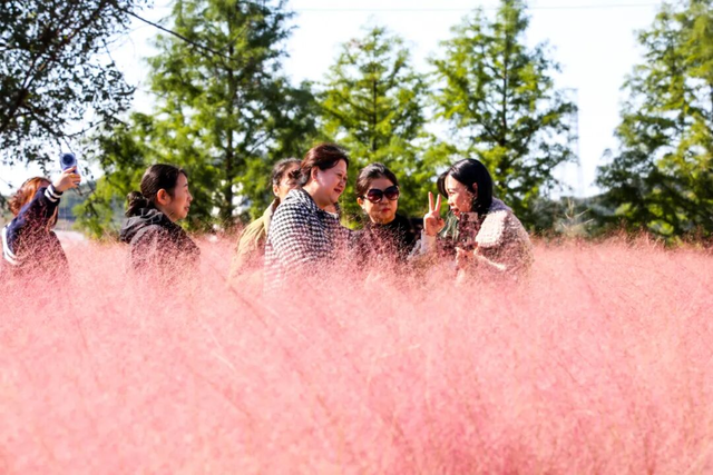 收藏！威海秋天6个超浪漫出片打卡点，90%的人都不知道！