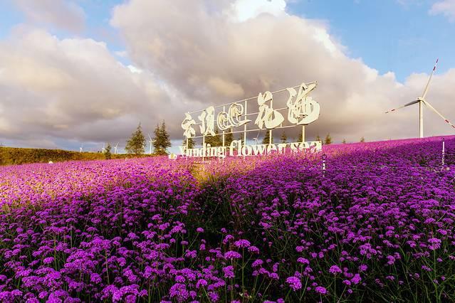 去有风的地方