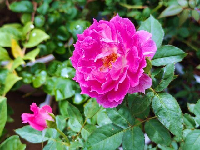 孝南：深秋湿地 韵律的盛宴